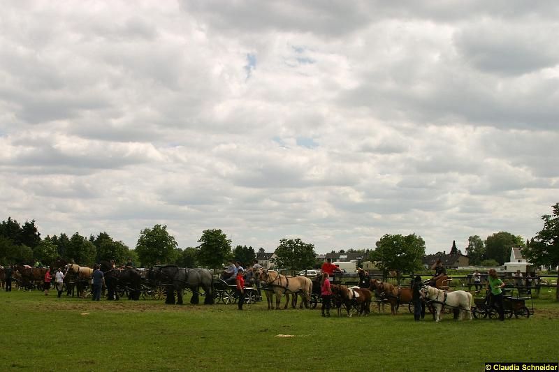 Ponytag Bosbach 2012-054.jpg